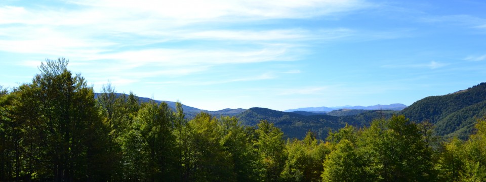 The Red Mountain Cabana